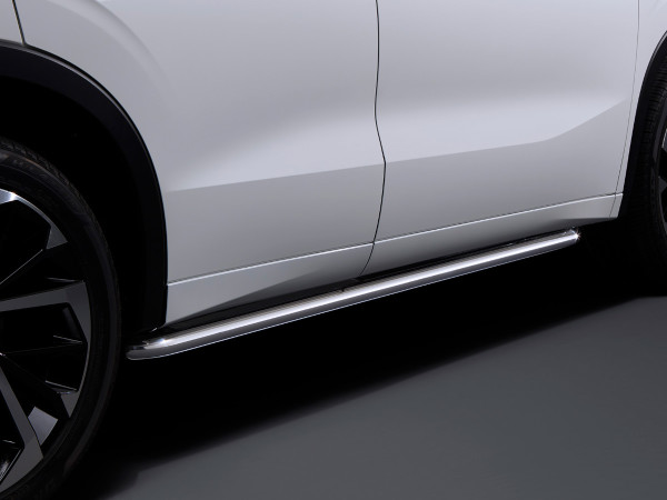 ДЕКОРАТИВНІ БІЧНІ ДУГИ